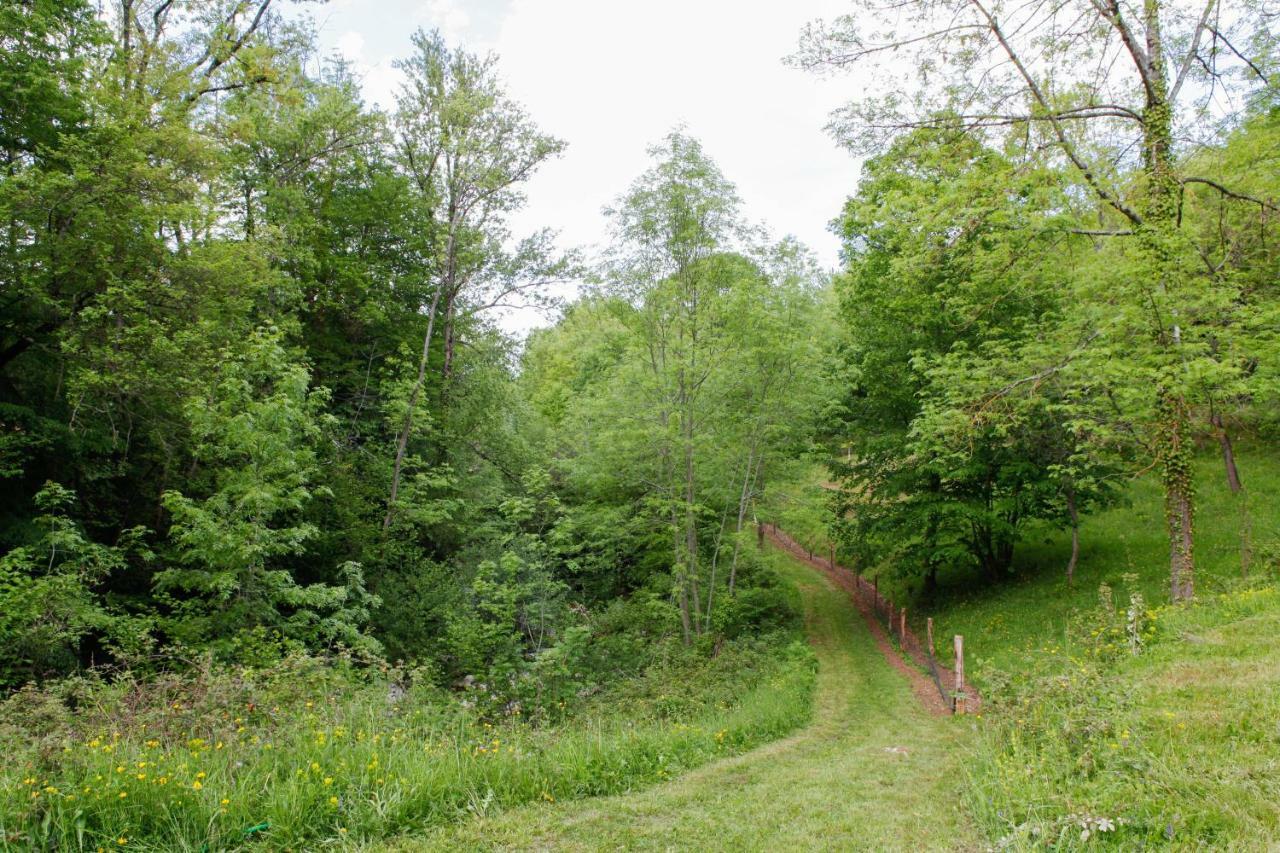Bed and Breakfast Moulin D'Entre Les Roches Puivert Zewnętrze zdjęcie